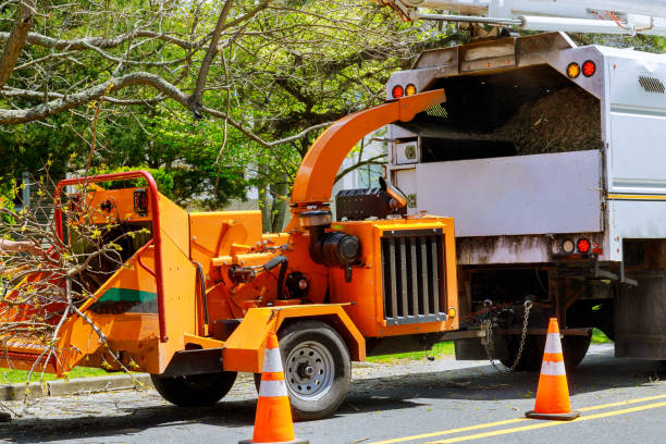 Soil Testing and Treatment in Fullerton, CA